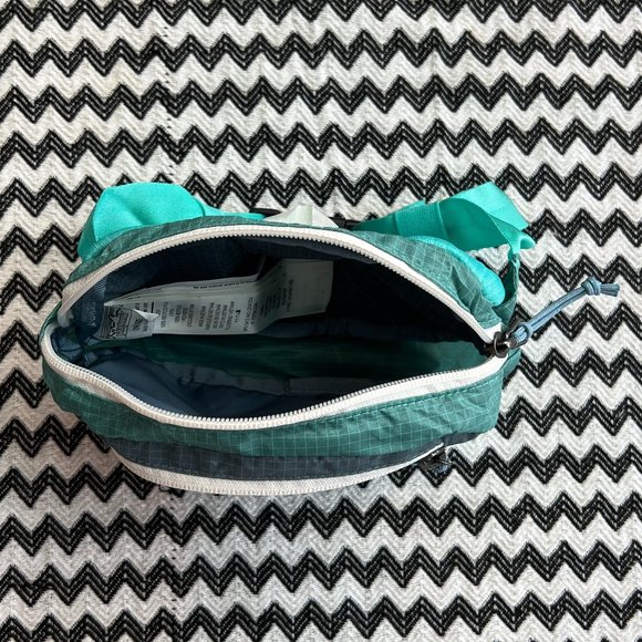 NWT Patagonia Belt Bag (1L) - Picture 6 of 8